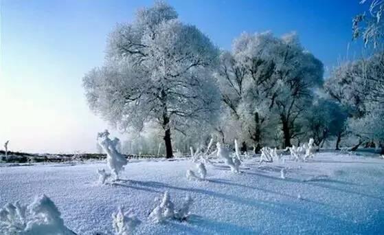 春节旅游3-4天攻略最佳线路:江南水乡与北国冰雪的完美假期 春节旅游3-4天攻略最佳线路:江南水乡与北国冰雪的完美假期
