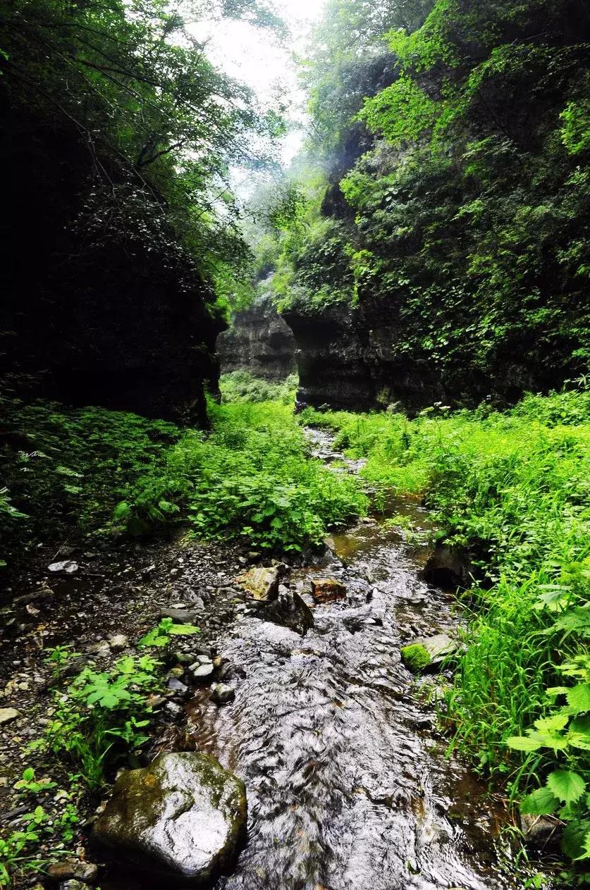 广西灵山旅游景点哪里好玩?带你解锁喀斯特秘境,体验山水人文的治愈之旅 广西灵山旅游景点哪里好玩?带你解锁喀斯特秘境,体验山水人文的治愈之旅