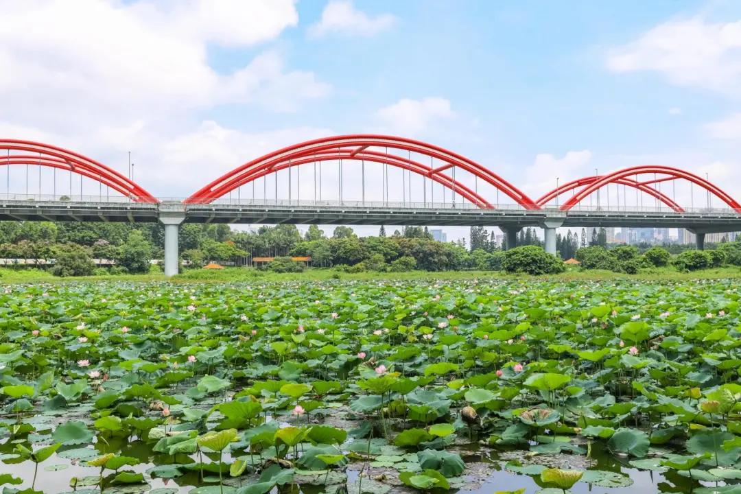 一日游旅游团报名全攻略:省心省力玩转周末,告别旅行烦恼 一日游旅游团报名全攻略:省心省力玩转周末,告别旅行烦恼