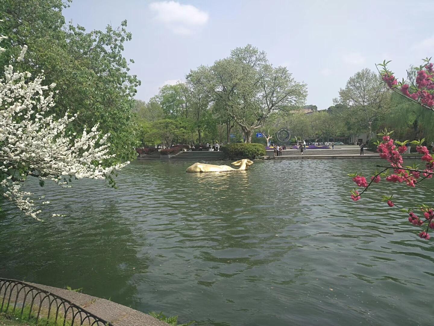 杭州一天去哪玩比较好?精选路线+省时攻略,轻松玩转西湖美景 杭州一天去哪玩比较好?精选路线+省时攻略,轻松玩转西湖美景