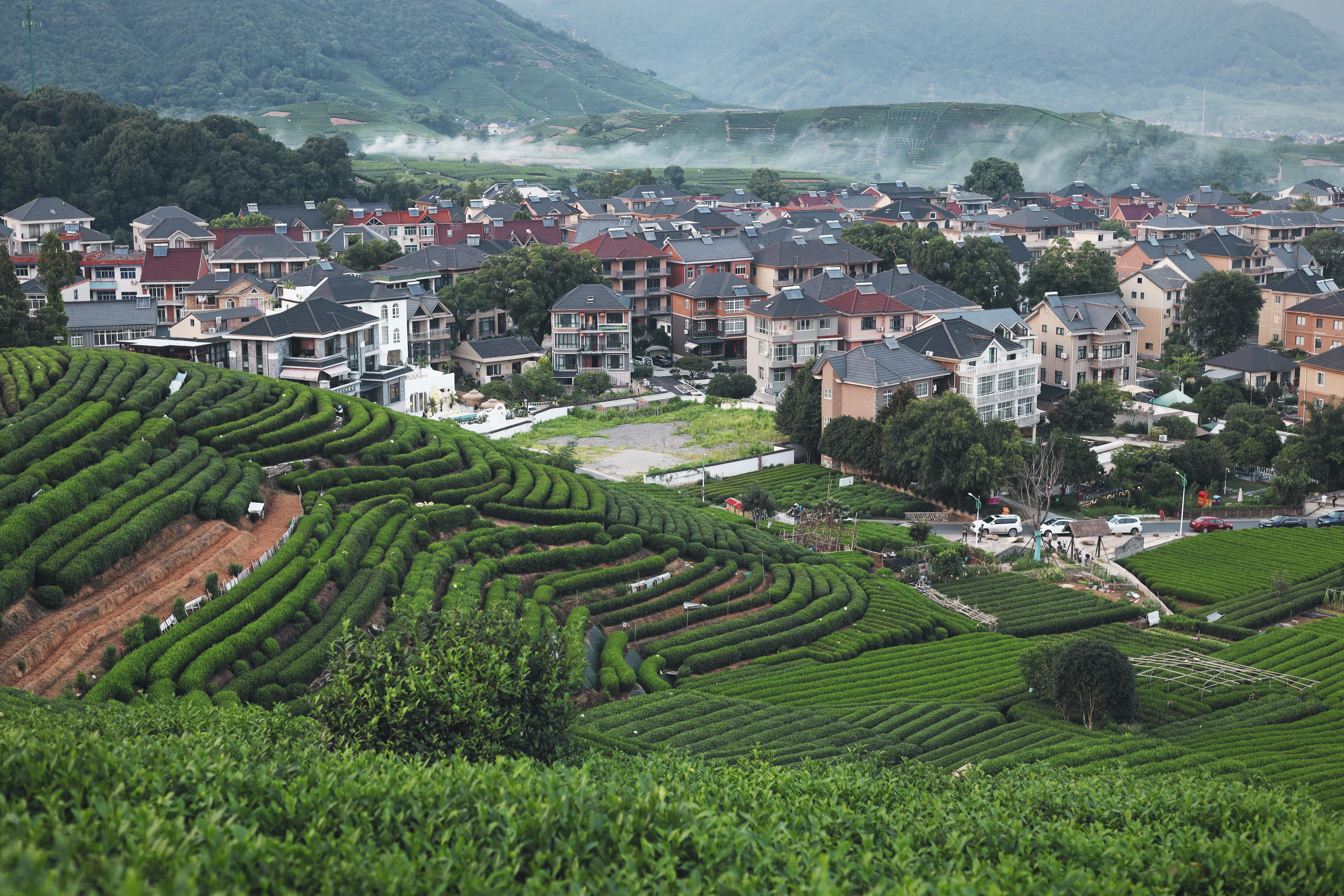 杭州旅游小贴士:避开人潮省钱玩转四季美景,轻松规划完美旅程 杭州旅游小贴士:避开人潮省钱玩转四季美景,轻松规划完美旅程