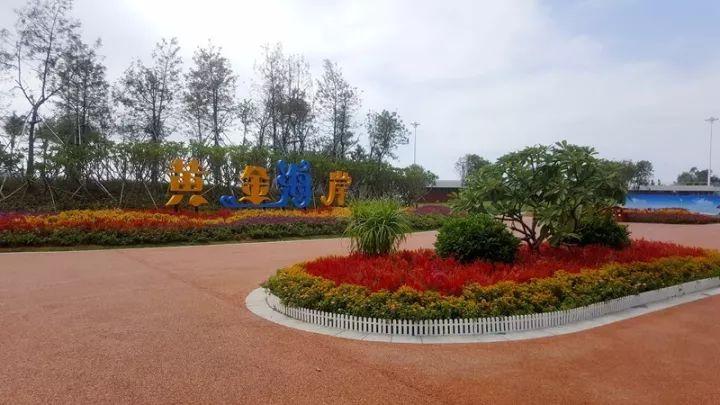 大亚湾景点旅游攻略:避开人潮,轻松玩转黄金海岸与隐秘岛屿 大亚湾景点旅游攻略:避开人潮,轻松玩转黄金海岸与隐秘岛屿