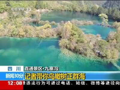九寨沟三日游攻略自驾游:轻松规划,避开拥堵,享受绝美风景 九寨沟三日游攻略自驾游:轻松规划,避开拥堵,享受绝美风景
