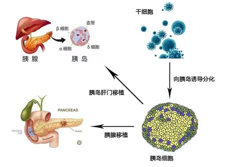 区块链技术与工程项目管理