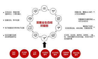 区块链的建设流程