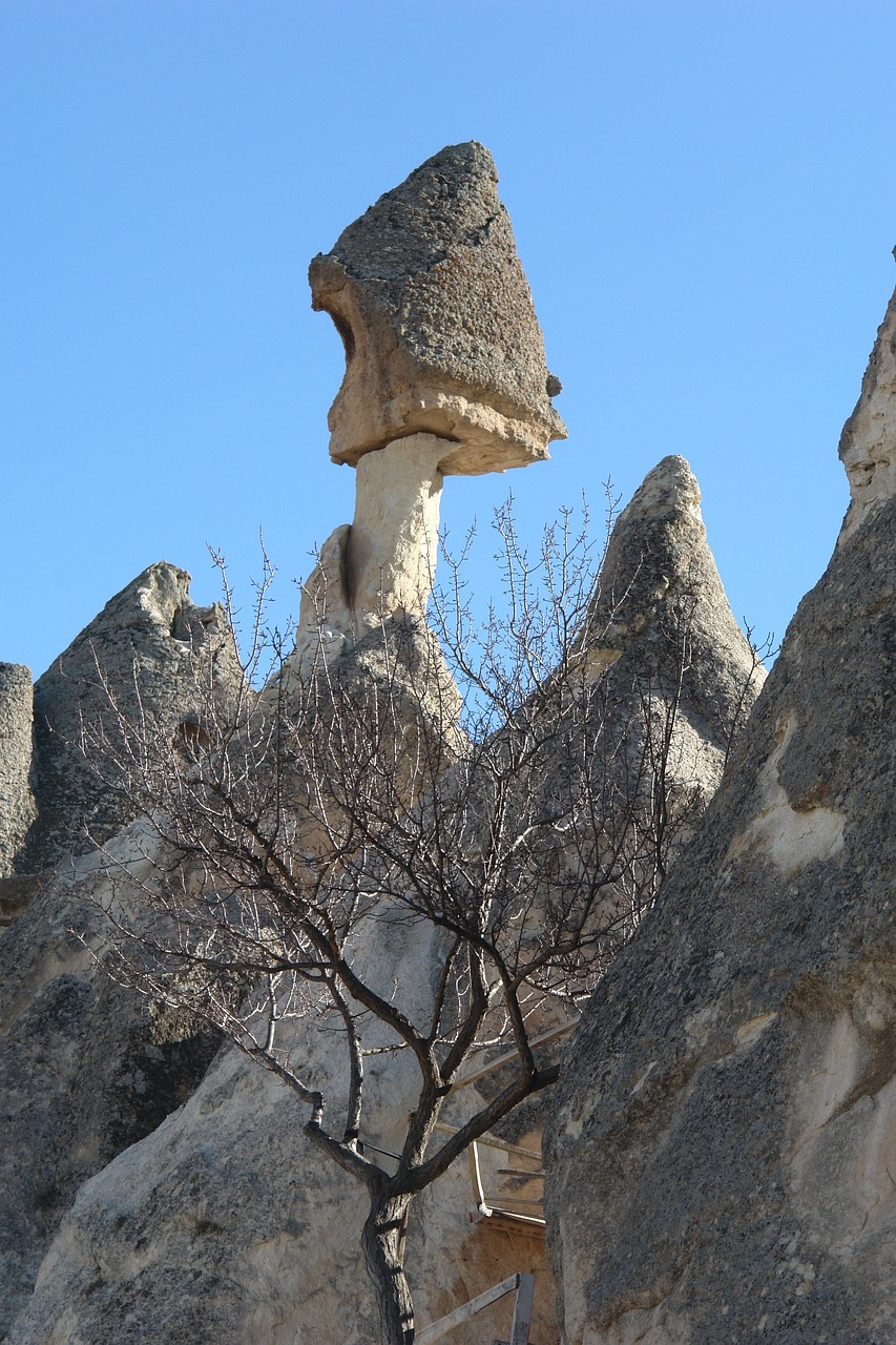 深掘艾泽拉斯，魔兽世界银矿的勘探之旅与历史沿革