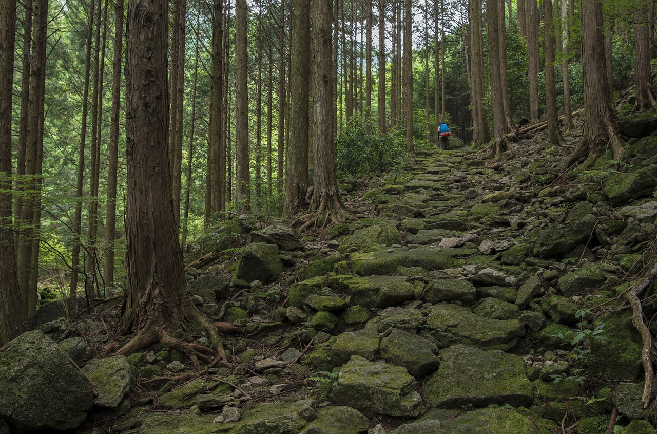 探秘邢台古韵天梯山，徒步者的天堂，历史的回声