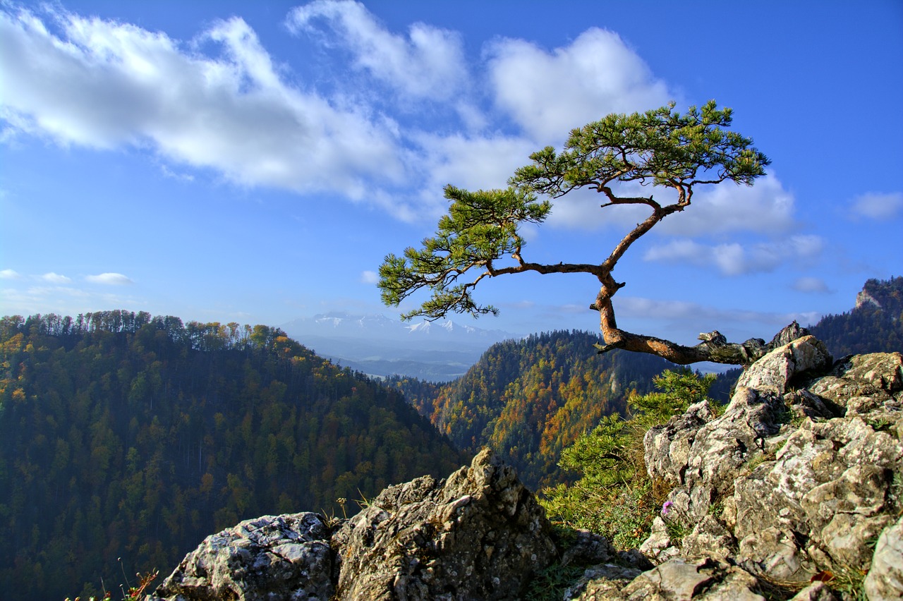 探秘千年传奇，乐山大佛之旅