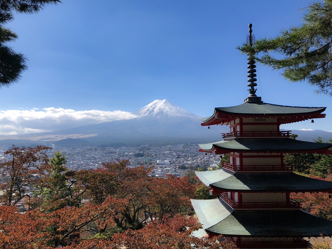 探秘北京百望山森林公园的斑斓之旅