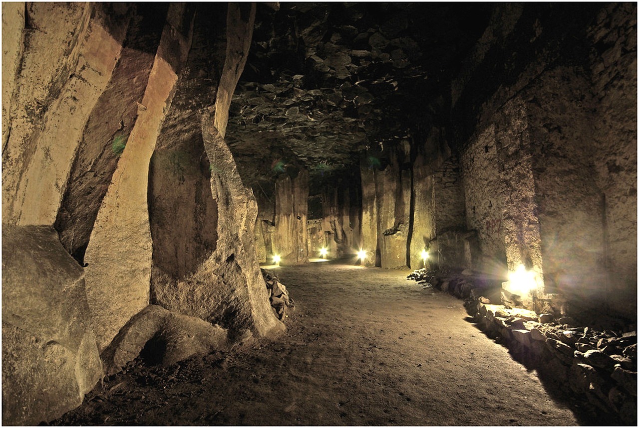 一场梦幻的地下旅行